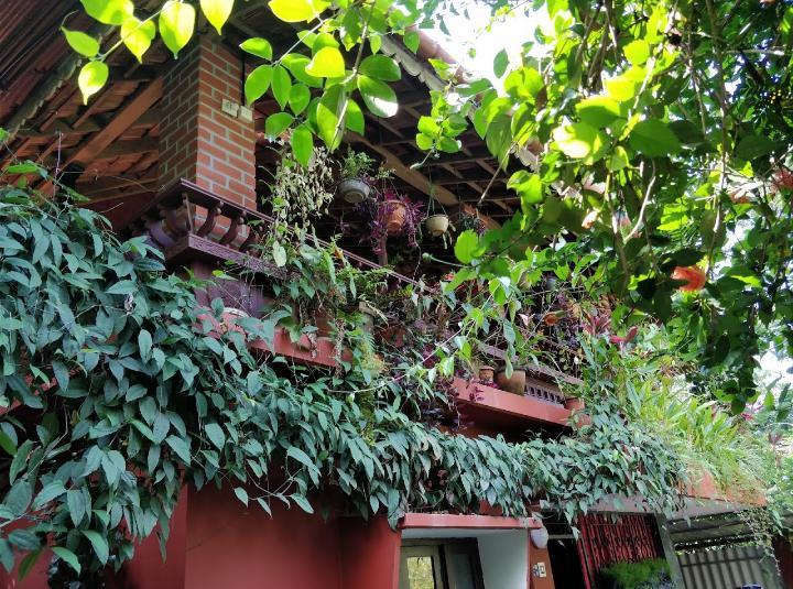 The Four Seasons Apartment Kalpatta Ngoại thất bức ảnh